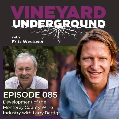 085: Development of the Monterey County Wine Industry with Larry Bettiga 085: Development of the Monterey County Wine Industry with Larry Bettiga