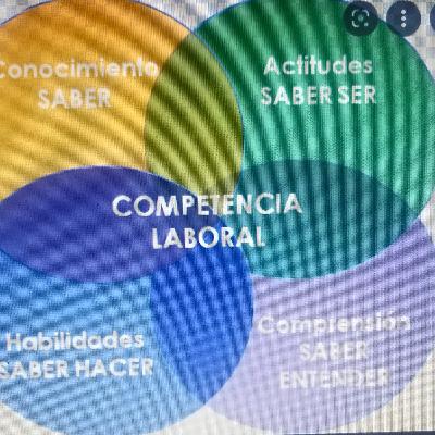 Levantamiento de perfiles de puestos por competencias