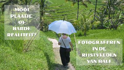 Mooi plaatje, harde realiteit: de rijstvelden van Bali onder druk