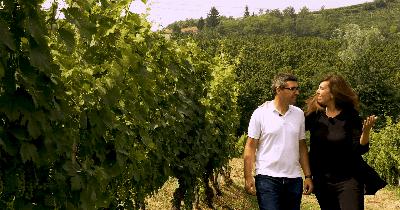 Mongioia Wines: A Creative Laboratory of Inspiration & History