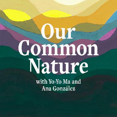 Our Common Nature: West Virginia Coal