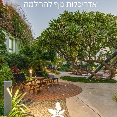 אדריכלות נוף להחלמה: על תכנון מרחבי ריפוי וגני מרפא – חלק א׳