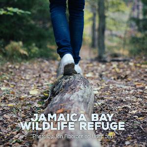 The Short Trail at Jamaica Bay Wildlife Refuge