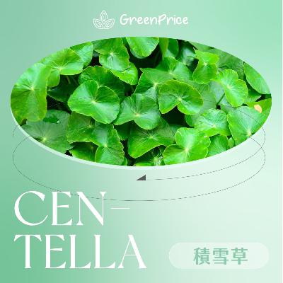 【美人圈】轉季救星 積雪草！