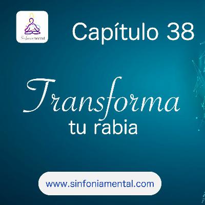 Fase VIII - Capítulo 38: Transforma Tu Rabia