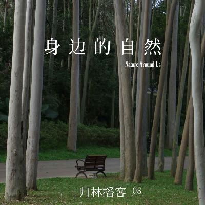 Vol.08｜原来只需一方寸自然，便能被长久治愈 ·《看不见的森林》