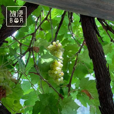 EP74 北疆 2｜她开始向亲友炫耀，也在期待下一次的同行 ft. 鹿岛