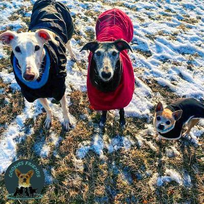 CF 23 - Sophie mit Gilbert, Mala und Pacolito