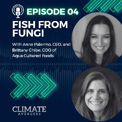 04: Fish From Fungi 04: Fish From Fungi