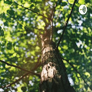 Remote learning ESAC