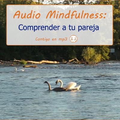 Mindfulness: Comprender a tu Pareja