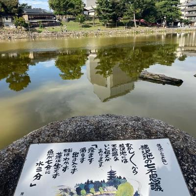 秋分の日のボイスメモ📝パーフェクトヒューマンじゃなくていい