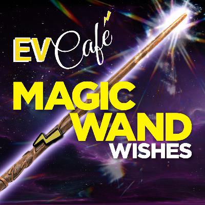 147: Every Magic Wand Wish of 2025 147: Every Magic Wand Wish of 2025