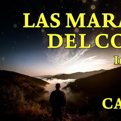 "Acerca del domino de Satán sobre el corazón mediante susurros, y cómo vencerlos" Al-Gazzali Cap 11