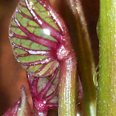 Spanisches Fahrverhalten....... . Spanisches Fahrverhalten....... .