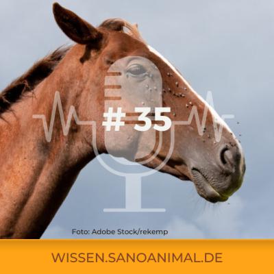 Sanoanimal Podcast #35 – Insektenmanagement