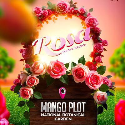 LIVE@ Paranice - Rosa Ft. Reko Chase