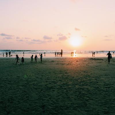 1. Why I Am Writing About Plastic