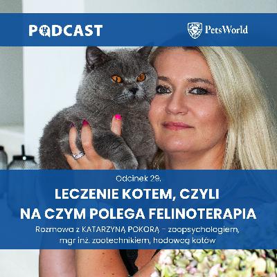 29. Felinoterapia, czyli leczenie kotem. Katarzyna Pokora - zoopsycholog, mgr inż. zootechnik, hodowca