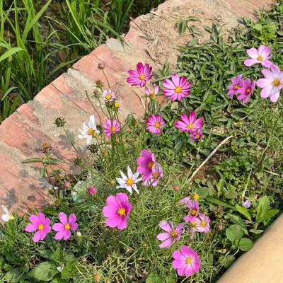 #37 Delulu - Đối diện với sự thật bên trong #37 Delulu - Đối diện với sự thật bên trong