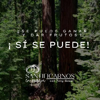 ¿Se puede ganar y dar frutos? ¡Sí se puede!