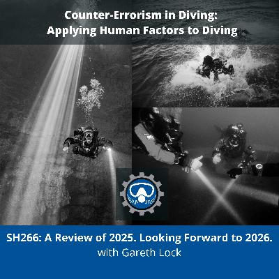 SH266: A Review of 2025. Looking Forward to 2026.