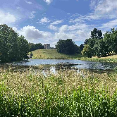 The Landscapes of Bath's Two Universities