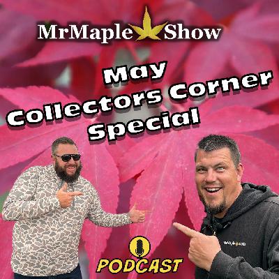 May Collectors Corner Special With Matt and Bryan | MrMaple Show Podcast