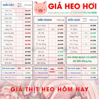 GIÁ LỢN HƠI 31/12/2025 ✅ GIÁ THỊT HEO HÔM NAY & TIN TỨC CHĂN NUÔI #GIAHEOHOI #GIATHITHEO #TET2026