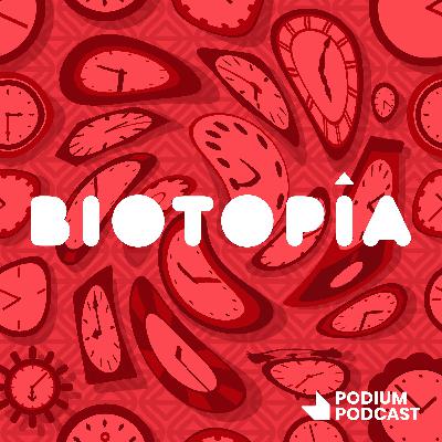 T02E03 - El partido