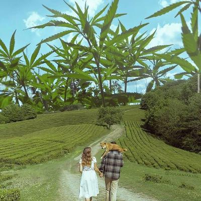 aware about drugs ? aware about drugs ?