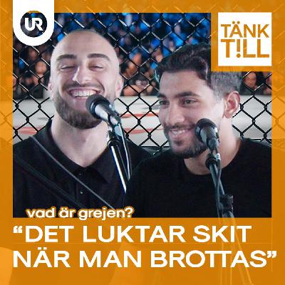 Vad är grejen med MMA-killar?