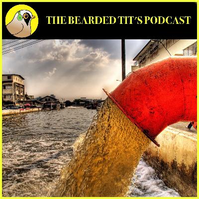 Forever Chemicals in UK Rivers ft Rob Collins #143