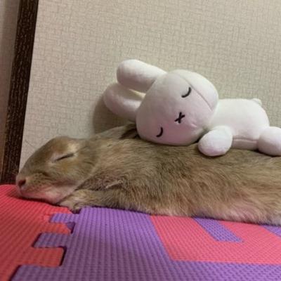 a one-take update! covid, the new year, & winter quarter a one-take update! covid, the new year, & winter quarter