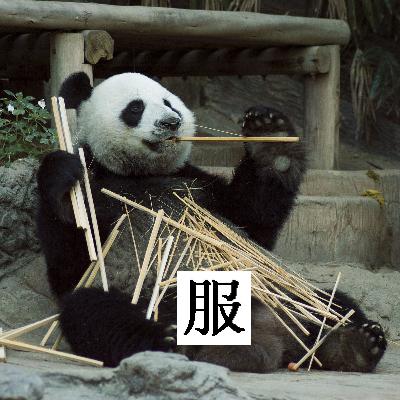 Vol.10 谁不说俺家乡好① 尬聊四川 Vol.10 谁不说俺家乡好① 尬聊四川