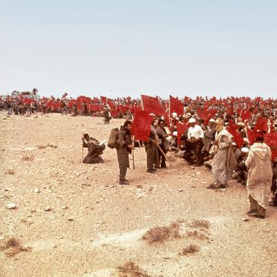Cinco Continentes - 50 aniversario de la Marcha Verde