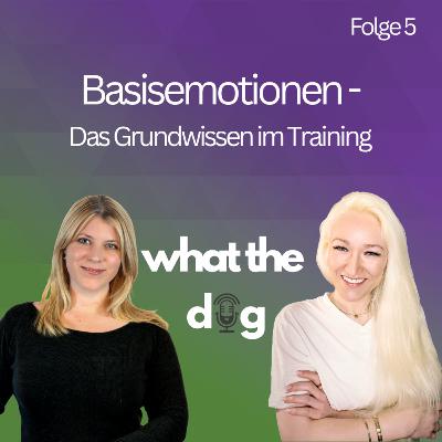 #5 Alles, was du über Emotionen wissen solltest