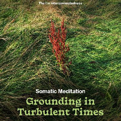 Somatic Meditation - Grounding in Turbulent Times