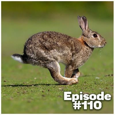 The story of the rabbit – FieldsportsChannel Podcast, episode 110