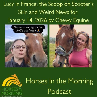 Lucy in France, the Scoop on Scooter’s Skin and Weird News for January 14, 2026 by Chewy Equine Lucy in France, the Scoop on Scooter’s Skin and Weird News for January 14, 2026 by Chewy Equine