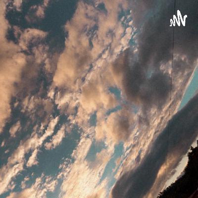 El sistema nervioso central