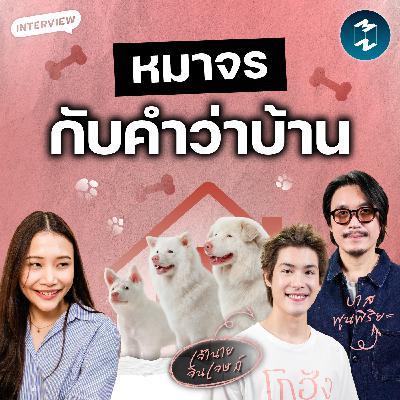 เรื่องของหมาจร การทำงานในกองถ่าย และความหมายของคำว่า “บ้าน” | MM EP.2647 เรื่องของหมาจร การทำงานในกองถ่าย และความหมายของคำว่า “บ้าน” | MM EP.2647
