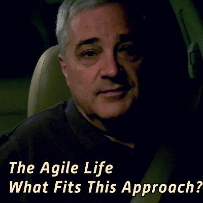 The Agile Life: What Fits The Approach