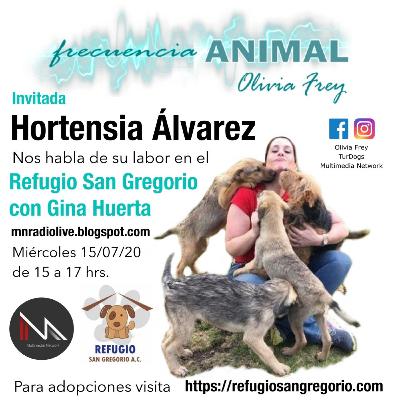 FRECUENCIA ANIMAL 13 CON OLIVIA FREY, INVITADA HORTENSIA ÁLVAREZ DEL REFUGIO SAN GREGORIO