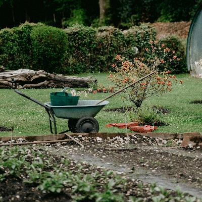 Rain On Wheelbarrow: 8-Hour Tranquil Rain Soundscape for Relaxation, Studying & Sleep