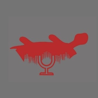 رادیو خوارشدگان