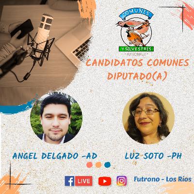 #CandidatosComunes presentando a candidatos a Diputado(a)