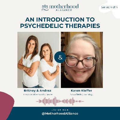 An Introduction to Psychedelic Therapies w/ Karen Kieffer | Snowfields Coaching