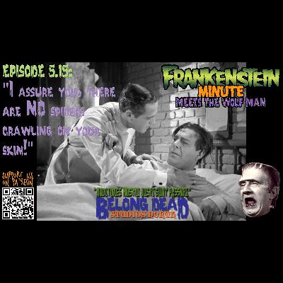 5.15 - I Assure You, There Are NO Spiders Crawling on Your Skin!