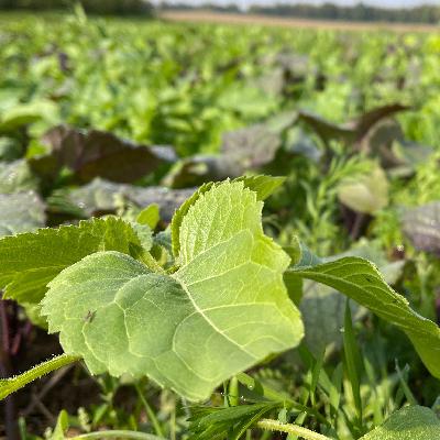 Klimastrategie Hof Tolle Klimastrategie Hof Tolle